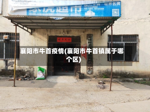 襄阳市牛首疫情(襄阳市牛首镇属于哪个区)-第2张图片