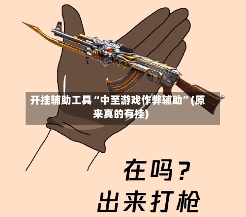 开挂辅助工具“中至游戏作弊辅助	”(原来真的有挂)-第2张图片