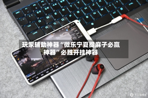 玩家辅助神器“微乐宁夏捉麻子必赢神器”必胜开挂神器-第2张图片