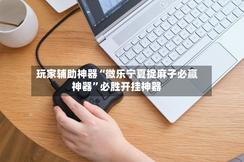 玩家辅助神器“微乐宁夏捉麻子必赢神器”必胜开挂神器-第3张图片
