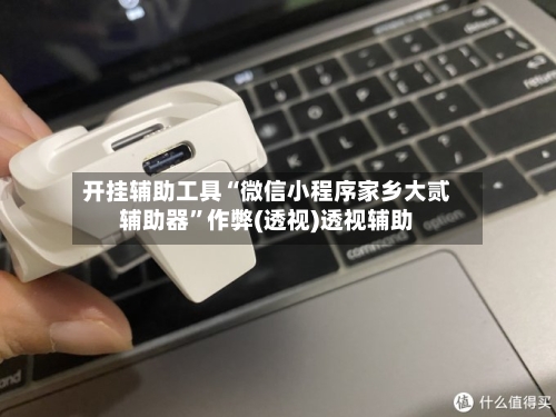 开挂辅助工具“微信小程序家乡大贰辅助器”作弊(透视)透视辅助