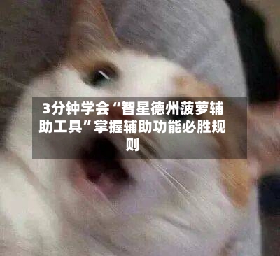 3分钟学会“智星德州菠萝辅助工具	”掌握辅助功能必胜规则-第2张图片