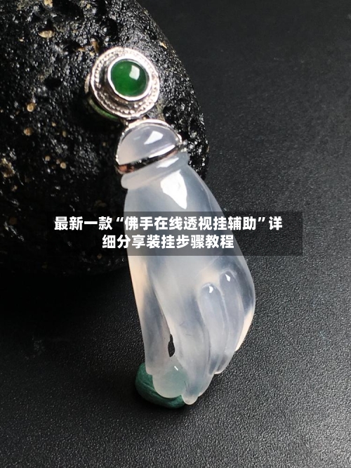 最新一款“佛手在线透视挂辅助”详细分享装挂步骤教程-第2张图片