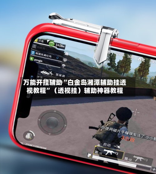 万能开挂辅助“白金岛湘潭辅助挂透视教程”（透视挂）辅助神器教程-第3张图片