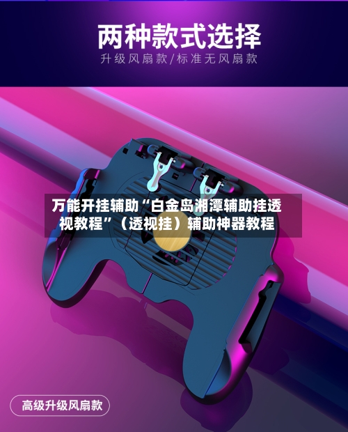 万能开挂辅助“白金岛湘潭辅助挂透视教程”(透视挂)辅助神器教程