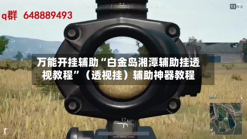 万能开挂辅助“白金岛湘潭辅助挂透视教程	”（透视挂）辅助神器教程-第2张图片