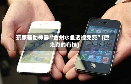 玩家辅助神器“金州水鱼透视免费	”(原来真的有挂)-第2张图片