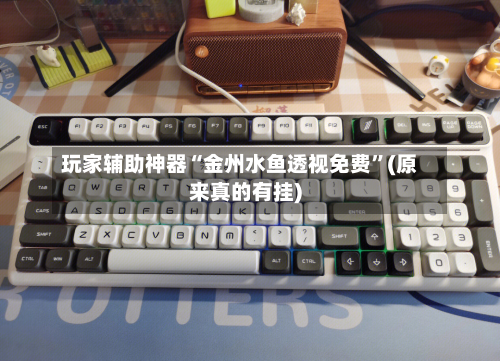 玩家辅助神器“金州水鱼透视免费”(原来真的有挂)-第3张图片