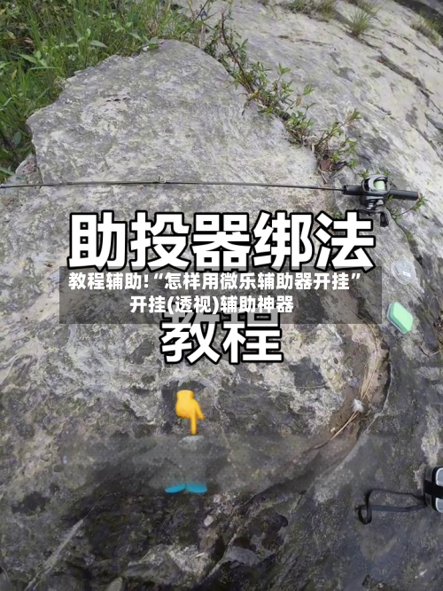 教程辅助!“怎样用微乐辅助器开挂”开挂(透视)辅助神器