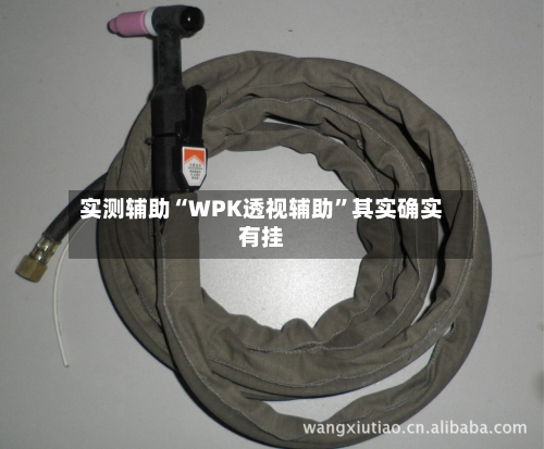 实测辅助“WPK透视辅助”其实确实有挂-第2张图片