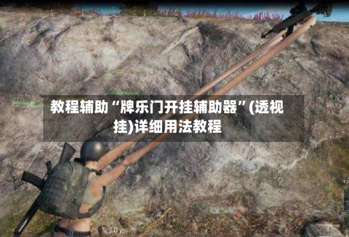 教程辅助“牌乐门开挂辅助器”(透视挂)详细用法教程-第3张图片