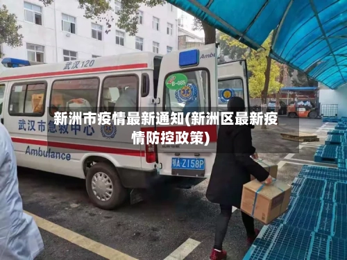 新洲市疫情最新通知(新洲区最新疫情防控政策)-第2张图片