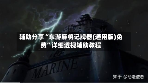 辅助分享“东游麻将记牌器(通用版)免费”详细透视辅助教程-第3张图片