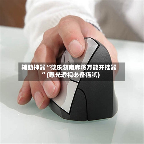 辅助神器“微乐湖南麻将万能开挂器	”(曝光透视必备猫腻)-第2张图片