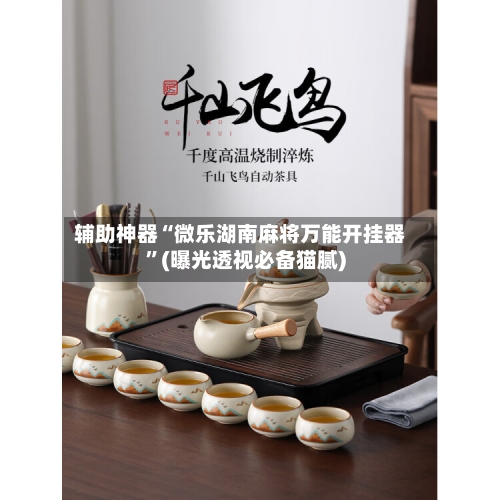 辅助神器“微乐湖南麻将万能开挂器”(曝光透视必备猫腻)-第3张图片