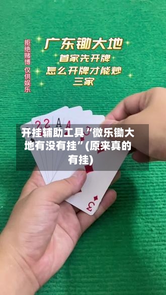 开挂辅助工具“微乐锄大地有没有挂”(原来真的有挂)-第2张图片