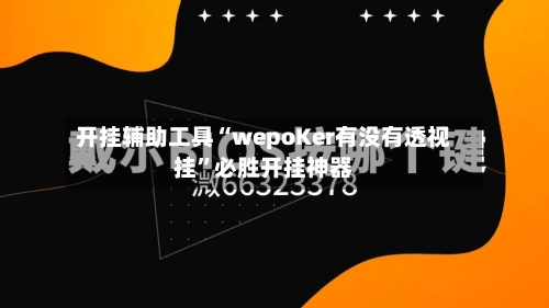 开挂辅助工具“wepoKer有没有透视挂	”必胜开挂神器-第2张图片