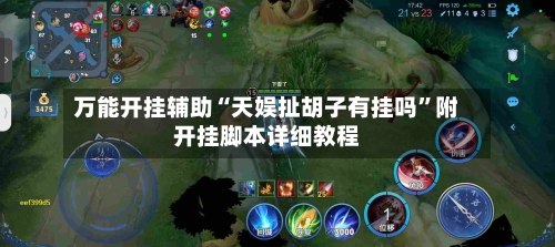 万能开挂辅助“天娱扯胡子有挂吗	”附开挂脚本详细教程-第2张图片