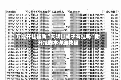 万能开挂辅助“天娱扯胡子有挂吗”附开挂脚本详细教程