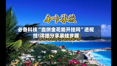必备科技“血拼金花能开挂吗”透视挂!详细分享装挂步骤-第3张图片