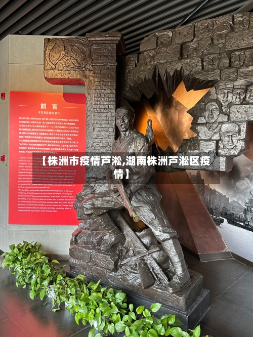 【株洲市疫情芦淞,湖南株洲芦淞区疫情】-第3张图片