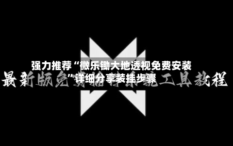 强力推荐“微乐锄大地透视免费安装	”详细分享装挂步骤-第3张图片