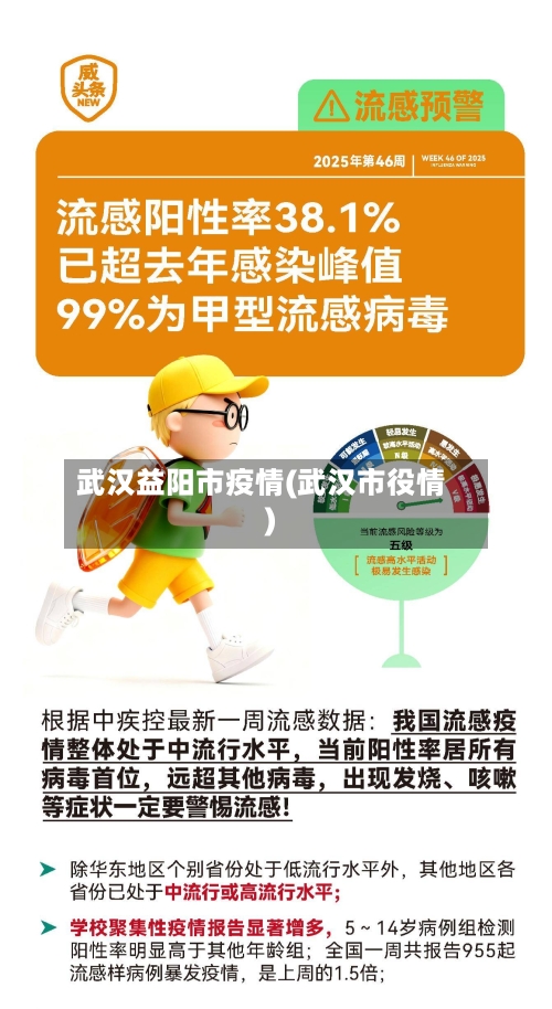 武汉益阳市疫情(武汉市役情)-第2张图片