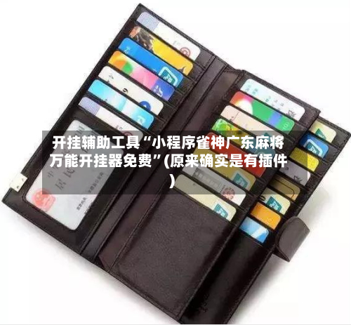 开挂辅助工具“小程序雀神广东麻将万能开挂器免费	”(原来确实是有插件)-第2张图片