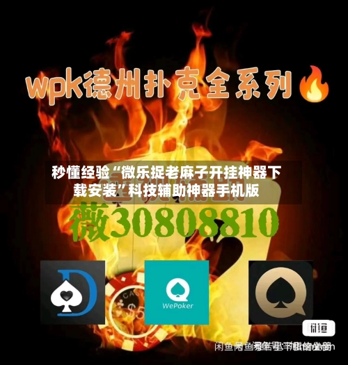 秒懂经验“微乐捉老麻子开挂神器下载安装	”科技辅助神器手机版-第2张图片