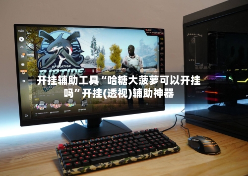 开挂辅助工具“哈糖大菠萝可以开挂吗”开挂(透视)辅助神器-第2张图片