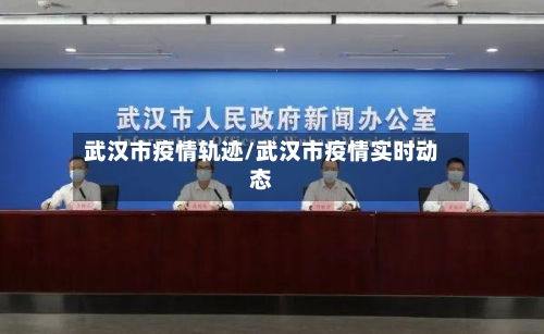 武汉市疫情轨迹/武汉市疫情实时动态