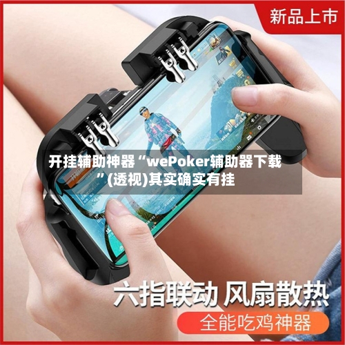 开挂辅助神器“wePoker辅助器下载”(透视)其实确实有挂-第2张图片