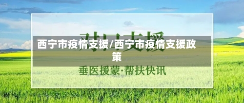 西宁市疫情支援/西宁市疫情支援政策