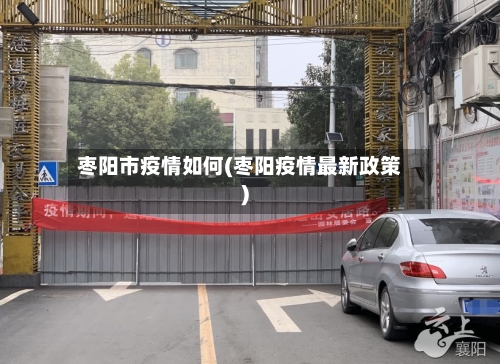 枣阳市疫情如何(枣阳疫情最新政策)-第2张图片