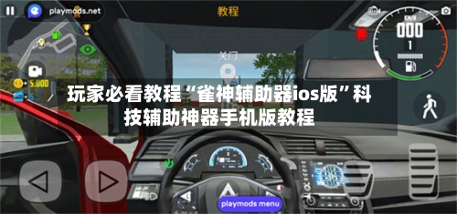 玩家必看教程“雀神辅助器ios版”科技辅助神器手机版教程-第3张图片