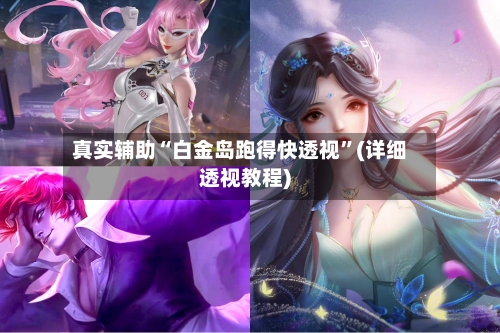 真实辅助“白金岛跑得快透视”(详细透视教程)-第3张图片