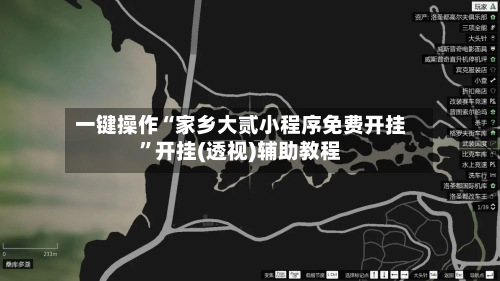 一键操作“家乡大贰小程序免费开挂	”开挂(透视)辅助教程-第3张图片