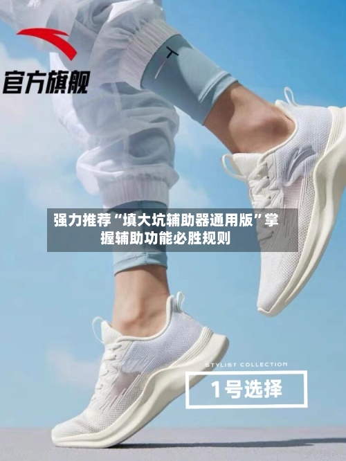 强力推荐“填大坑辅助器通用版”掌握辅助功能必胜规则-第2张图片