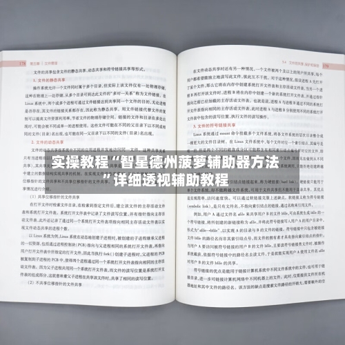 实操教程“智星德州菠萝辅助器方法”详细透视辅助教程-第2张图片