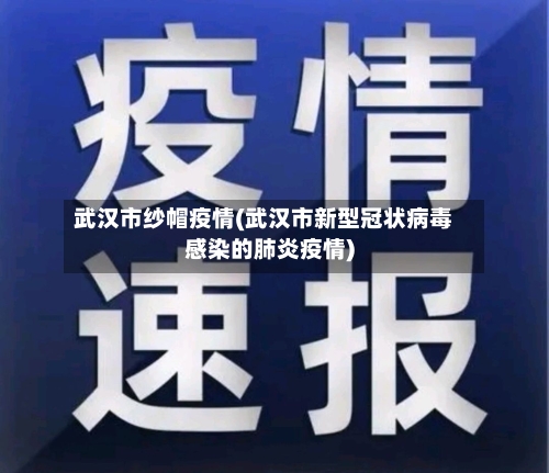 武汉市纱帽疫情(武汉市新型冠状病毒感染的肺炎疫情)-第2张图片