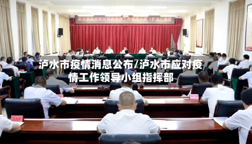 泸水市疫情消息公布/泸水市应对疫情工作领导小组指挥部-第3张图片