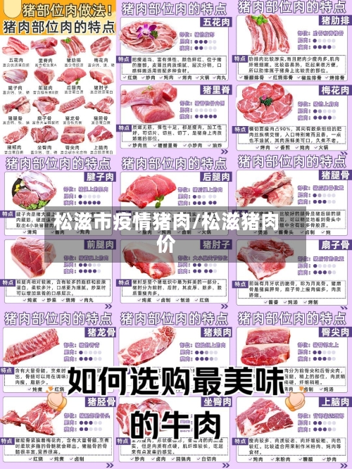 松滋市疫情猪肉/松滋猪肉价