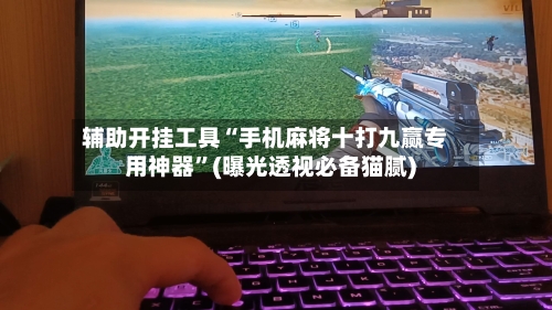 辅助开挂工具“手机麻将十打九赢专用神器”(曝光透视必备猫腻)-第2张图片