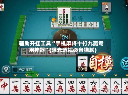 辅助开挂工具“手机麻将十打九赢专用神器”(曝光透视必备猫腻)-第3张图片