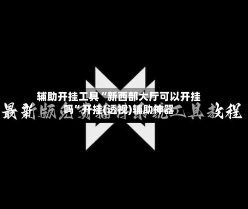 辅助开挂工具“新西部大厅可以开挂吗”开挂(透视)辅助神器-第2张图片