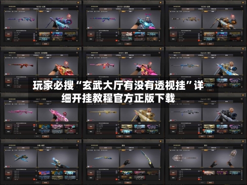 玩家必搜“玄武大厅有没有透视挂	”详细开挂教程官方正版下载-第2张图片