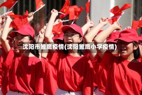 沈阳市雏鹰疫情(沈阳雏鹰小学疫情)