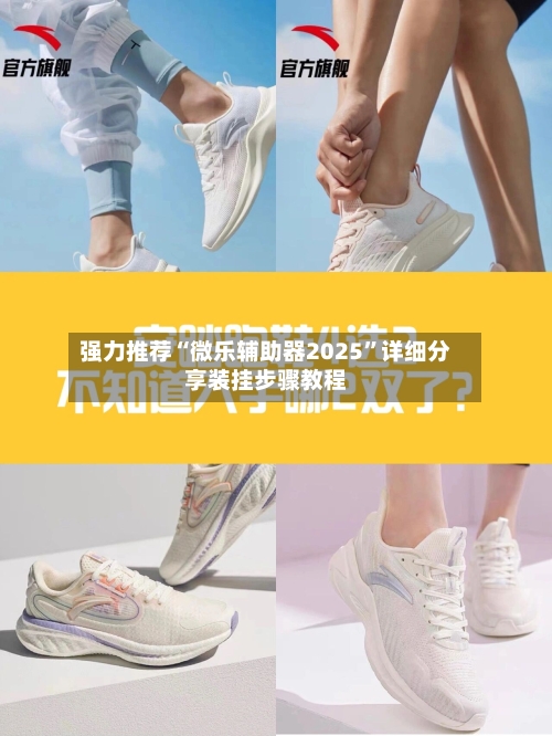 强力推荐“微乐辅助器2025”详细分享装挂步骤教程-第2张图片