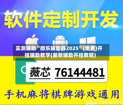 实测辅助“微乐辅助器2025	”(免费)开挂辅助教学(最新辅助开挂教程)-第2张图片