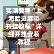 实测教程“上海哈灵麻将开挂教程”详细开挂安装教程-第3张图片
